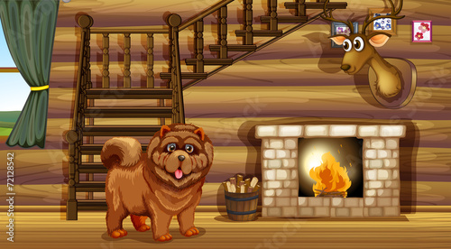 Dog and fireplace