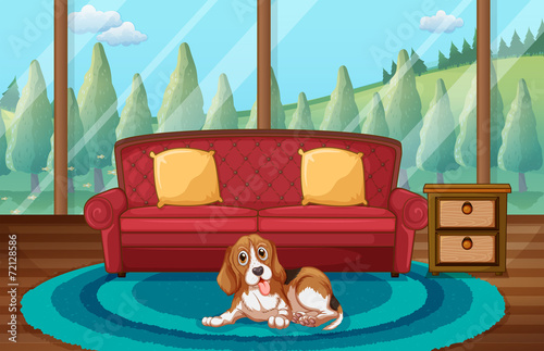 Dog and living room