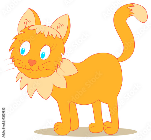 cat