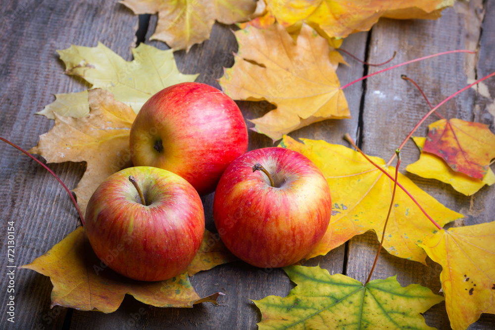 autumn background autumn background