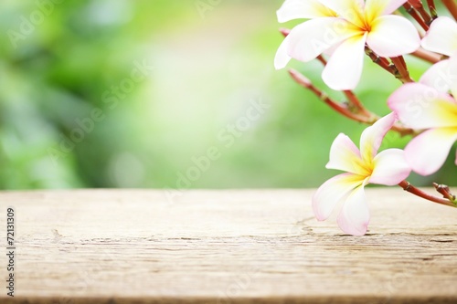 Frangipani flower on wooden table