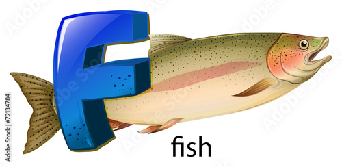 A letter F for fish photo