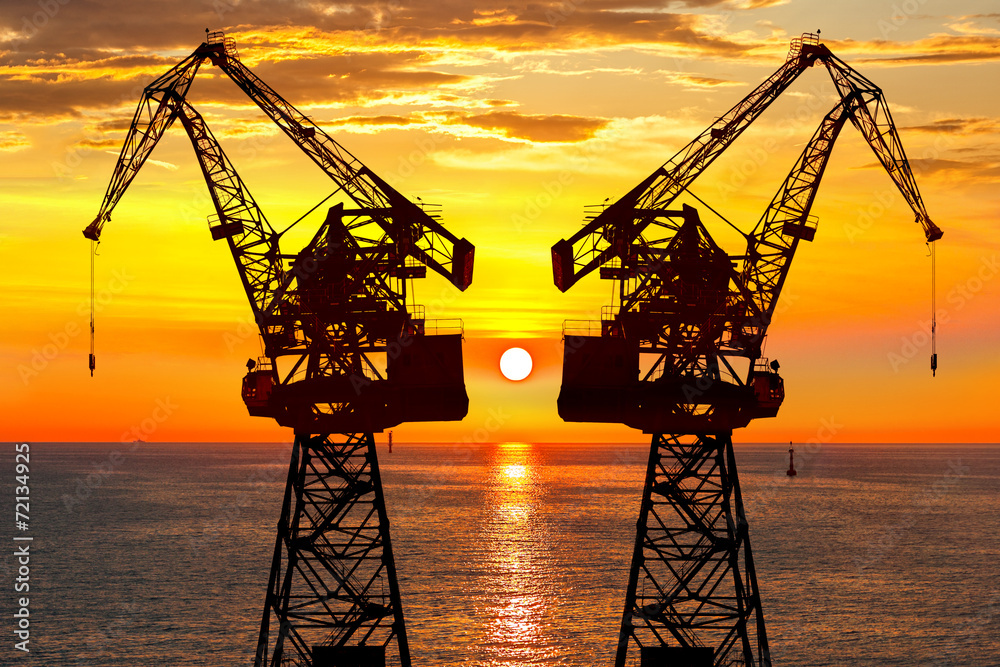 Cranes silhouette and sunset light background. Cranes silhouette and sunset light background.