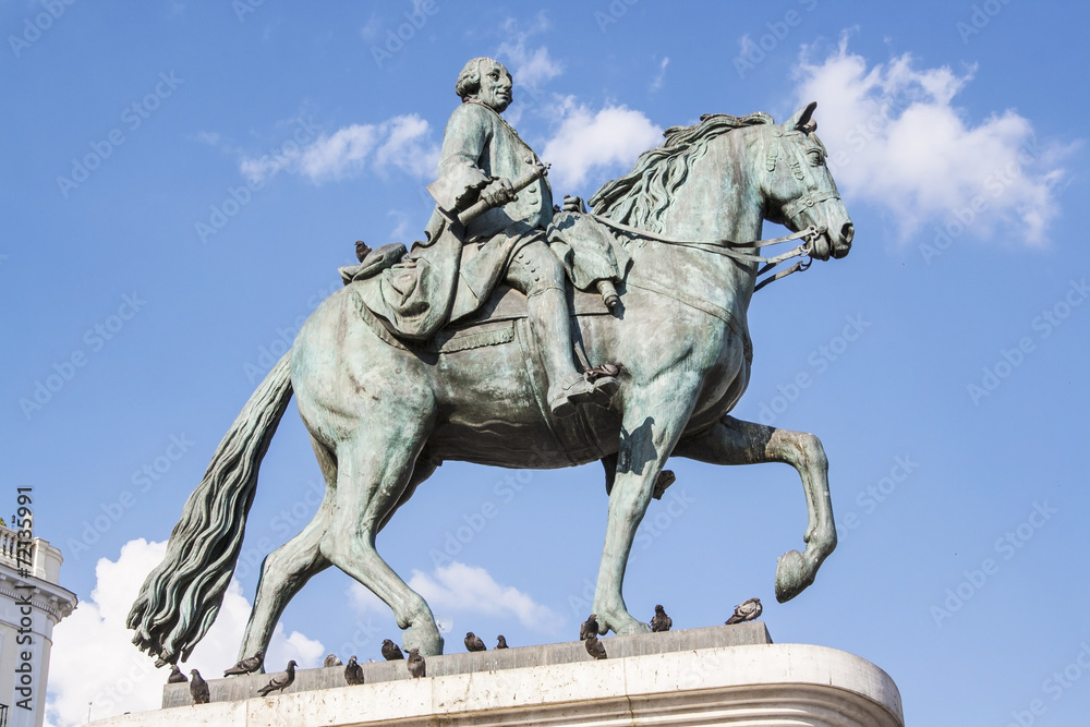 Obraz premium Equestrian statue