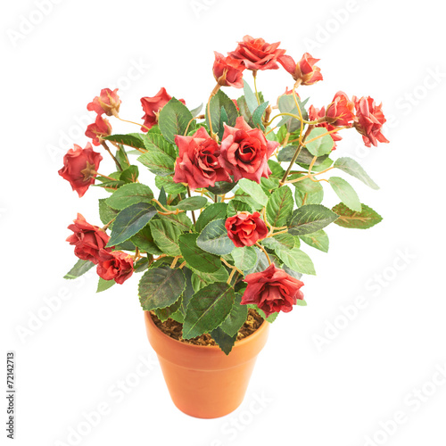 Fototapeta Naklejka Na Ścianę i Meble -  Artificial rose flower in a pot isolated