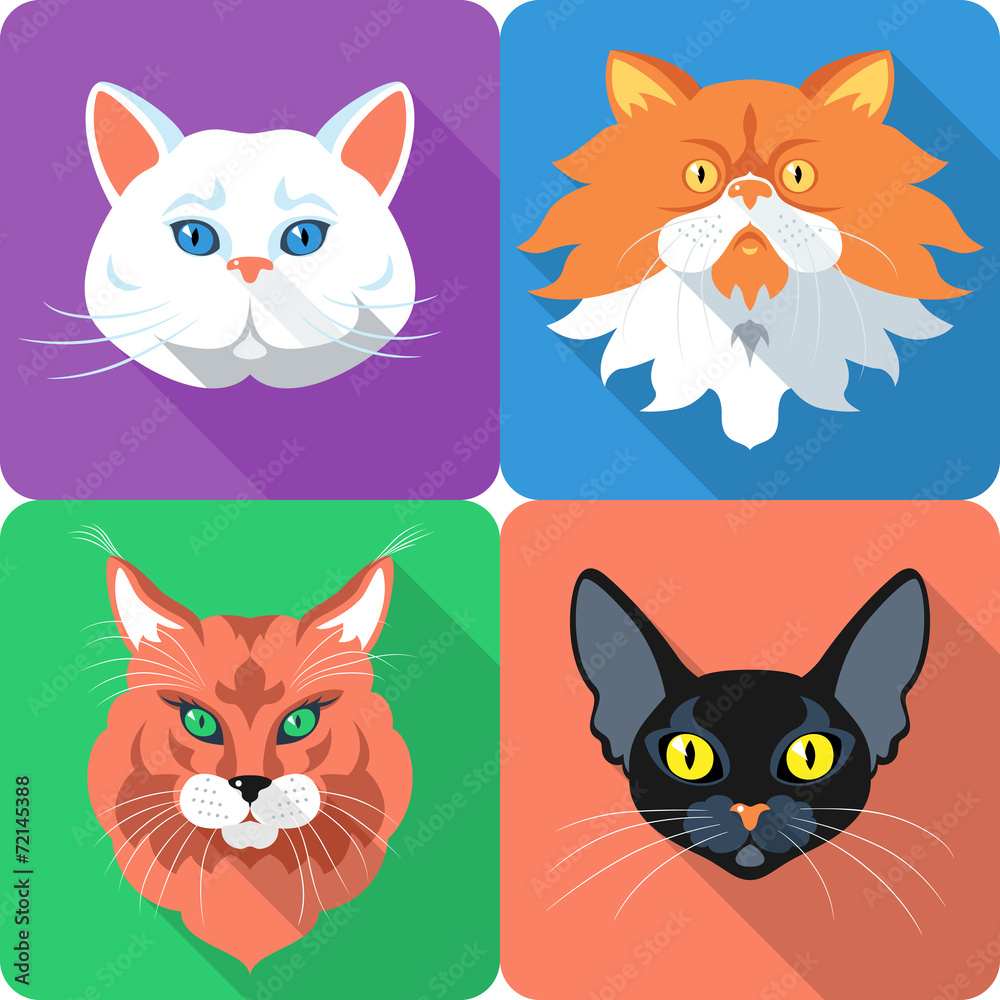 Set Cat icon flat design
