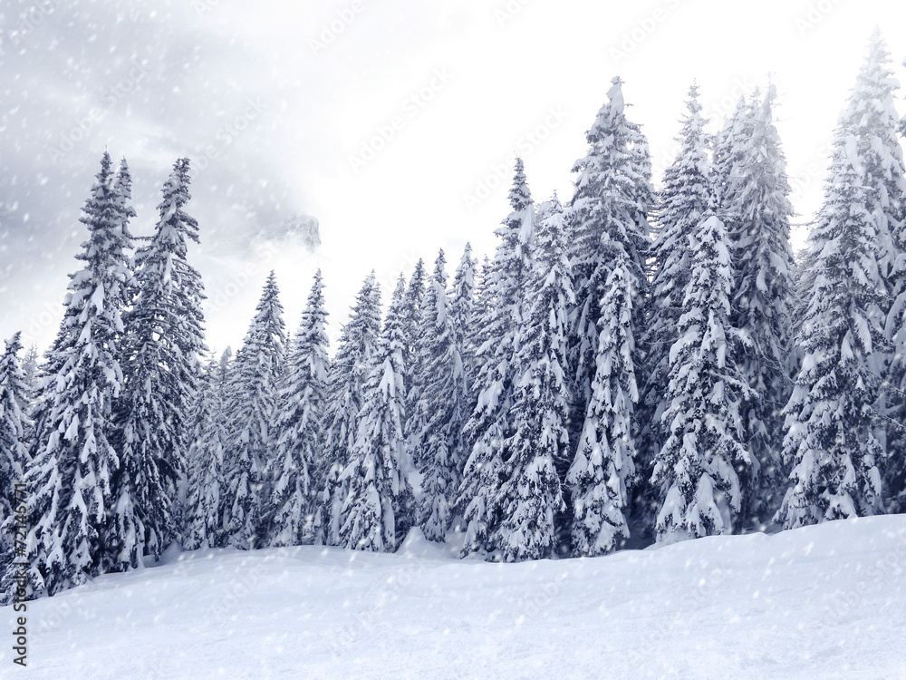Obraz premium Winter Landscape
