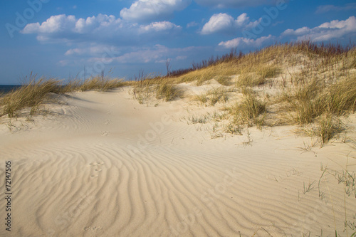 Beautiful beach with a dune