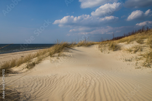 Fototapeta Naklejka Na Ścianę i Meble -  Beautiful beach with a dune