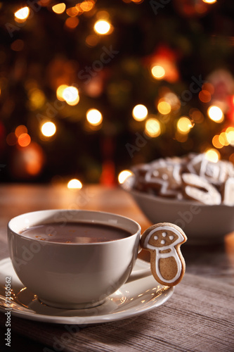 Hot chocolate with homemade gingerbread