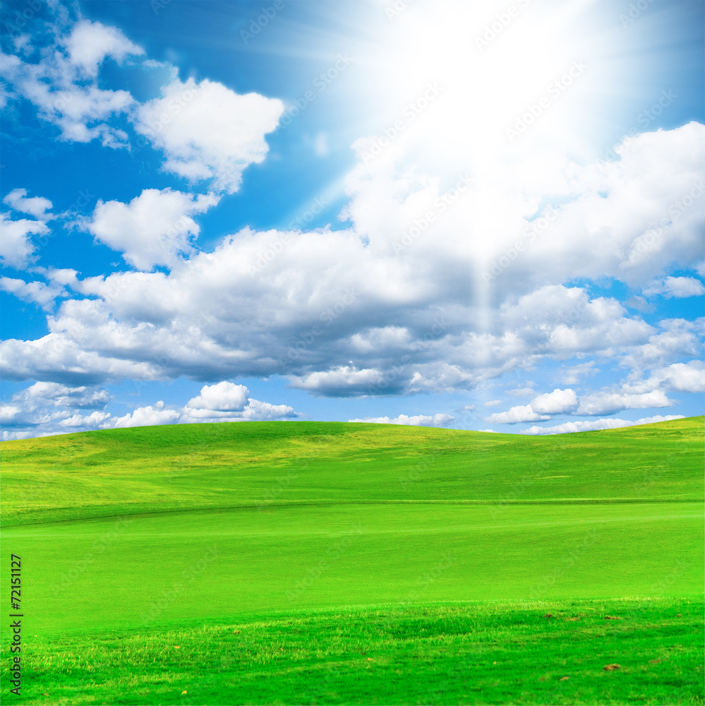 Fototapeta premium Green Grass Idyllic Landscape