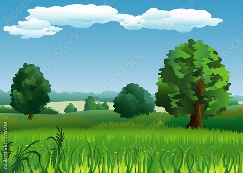 summer landscape