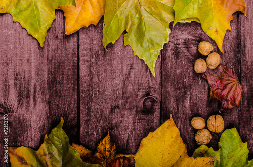 Autumn leaves on wood board photo