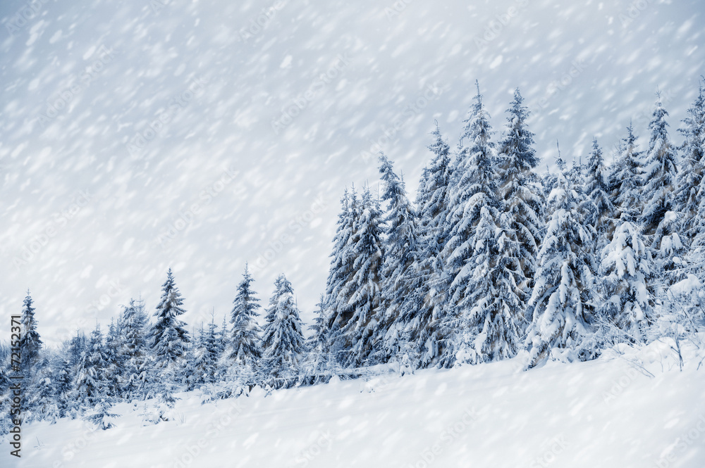 Naklejka premium Winter landscape