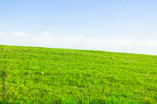 Heavenly Green Fields