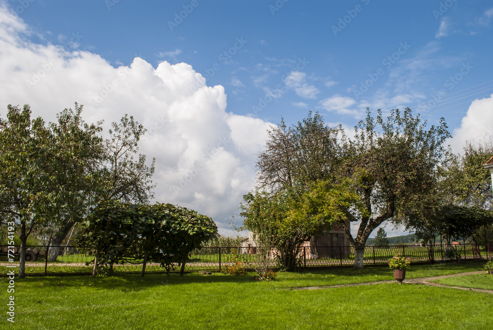 Garden Garden