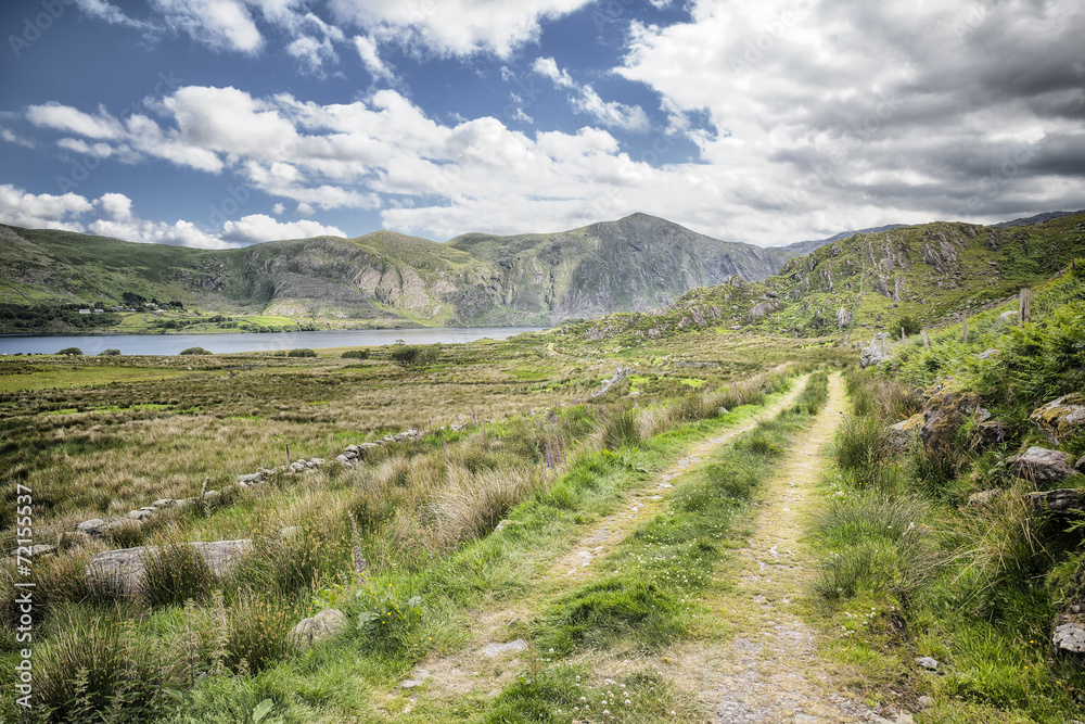 Ring of Kerry Landscape