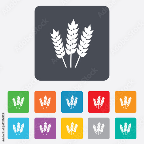 Agricultural sign icon. Gluten free or No gluten
