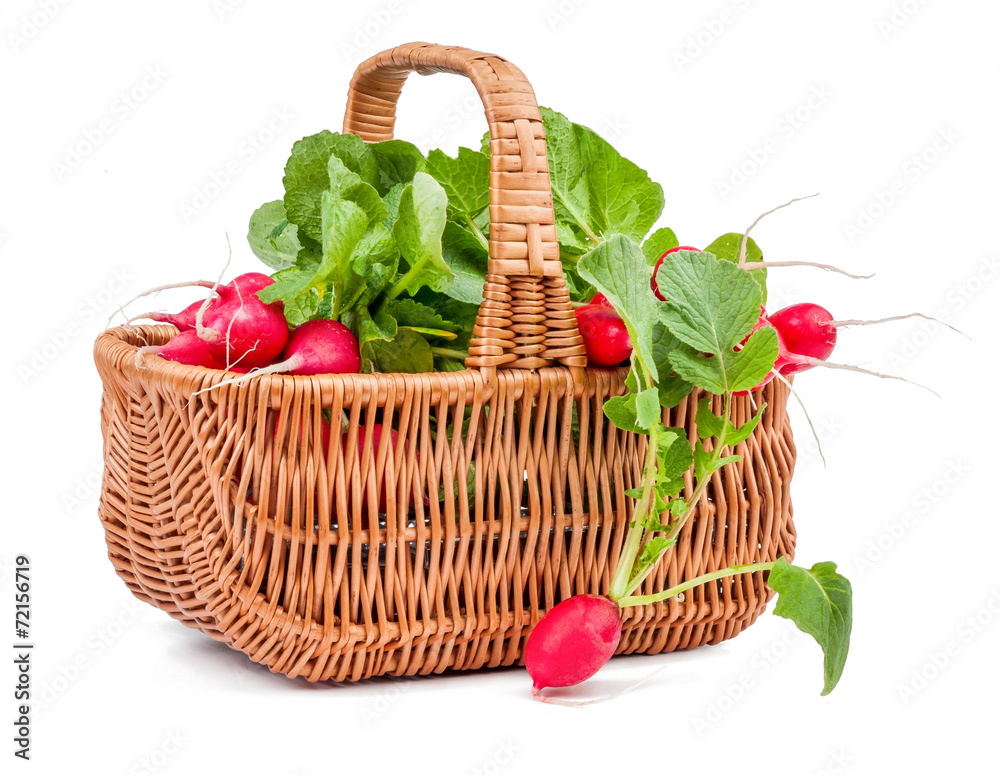 radish isolated radish isolated