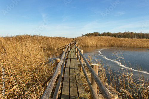 Boardwalk in a lake. photo