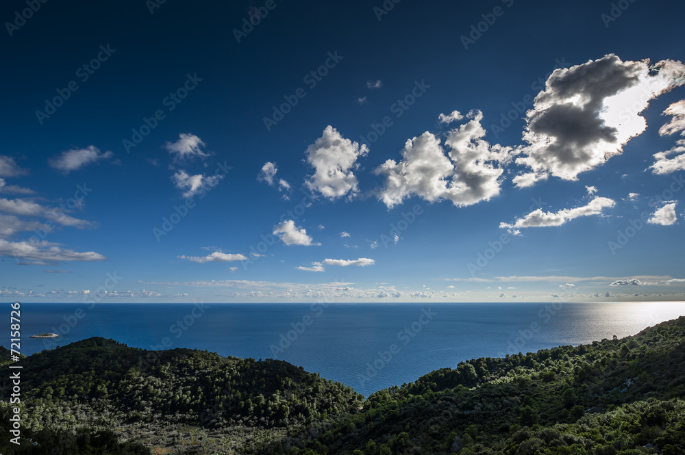 Aerial view of the ocean and forest Aerial view of the ocean and forest