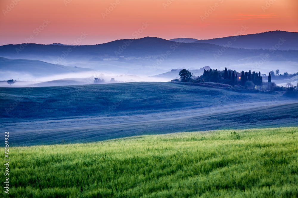 Farm of olive groves and vineyards in foggy sunrise