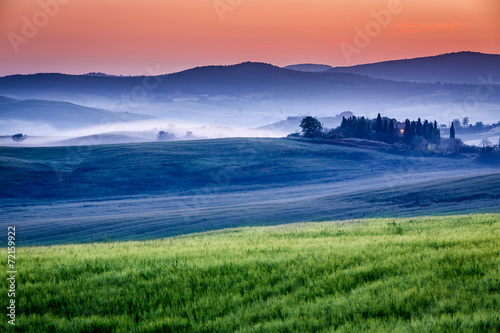 Farm of olive groves and vineyards in foggy sunrise