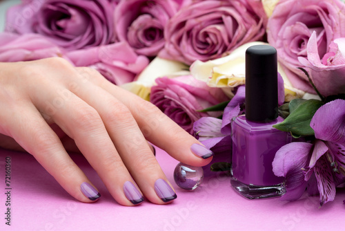 Beautiful manicure  polish is a violet color. Flower background.
