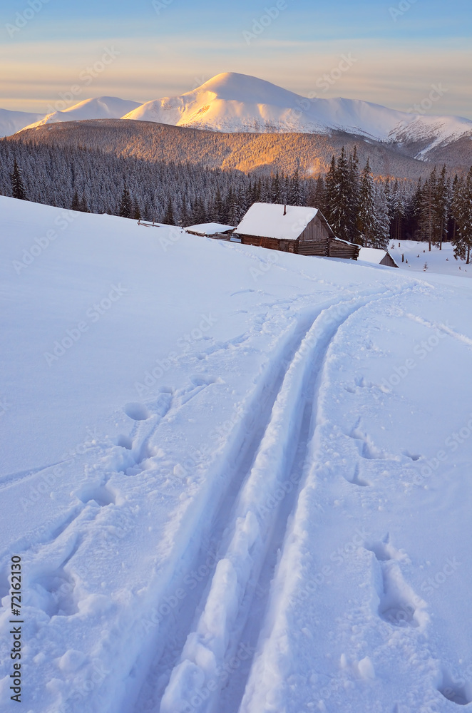Ski track on snow. Ski track on snow.
