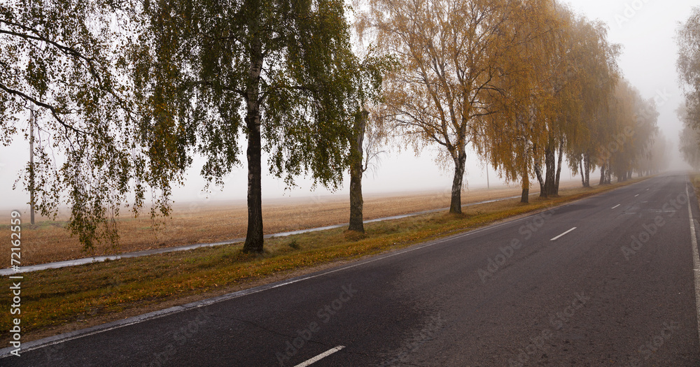 Fototapeta premium the autumn road - the small road to an autumn season