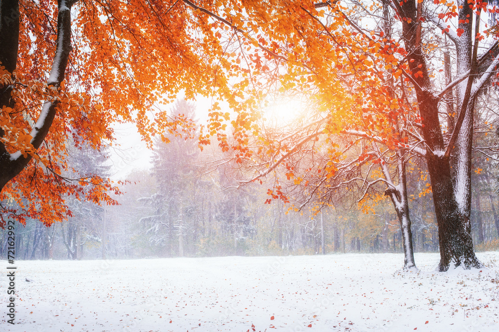 Obraz premium first days of winter