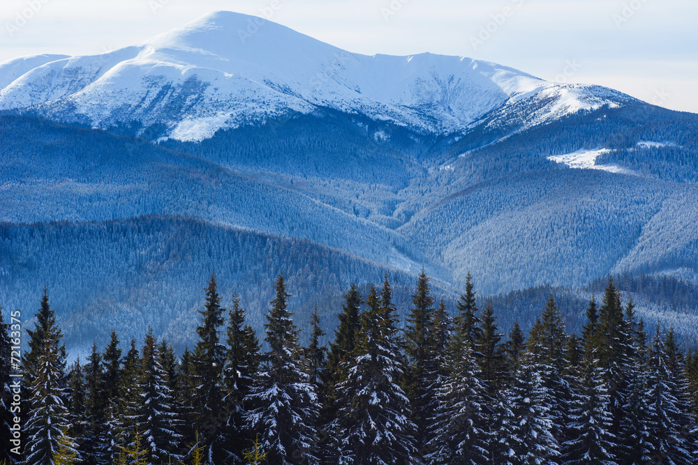 Obraz premium Fantastic winter landscape.