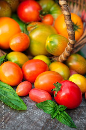multicolored tomatoes on wooden background