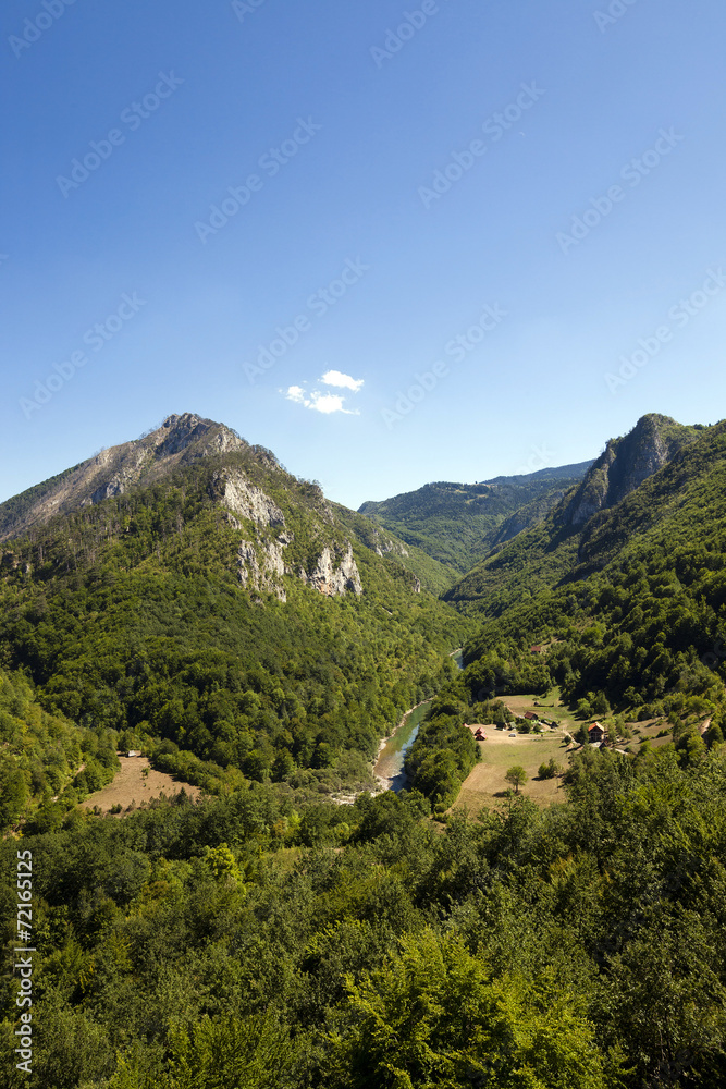  the mountains covered with various trees, other plants. Montenegro