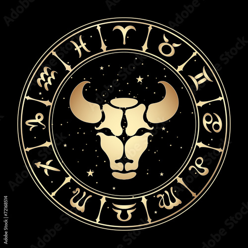 zodiac signs, vector illustration.