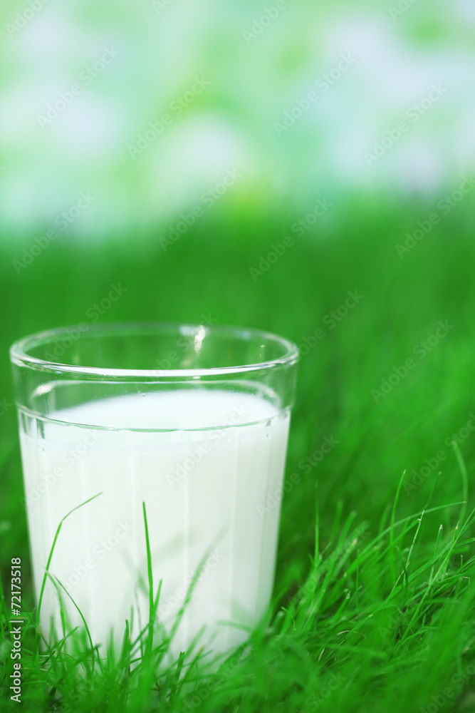 Milk in glass on grass on natural background Milk in glass on grass on natural background