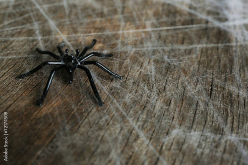 Cobweb with spider on wooden background © Africa Studio