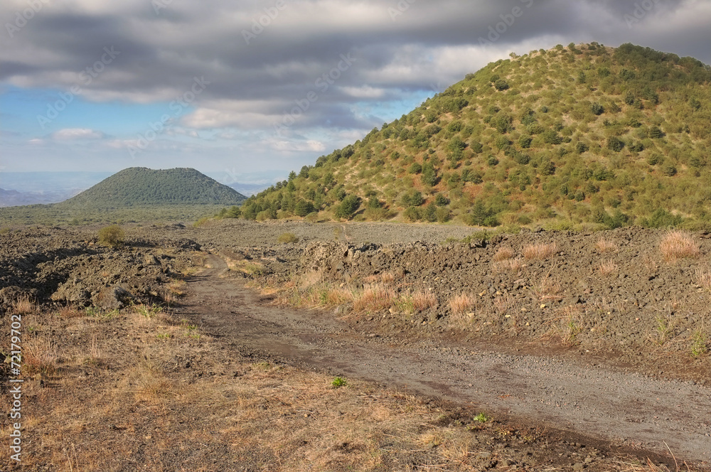 Old Volcanic Cones In The South-west Etna National Park, Sicily Old Volcanic Cones In The South-west Etna National Park, Sicily