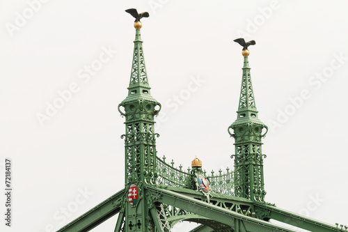 Historic bridge in Budapest