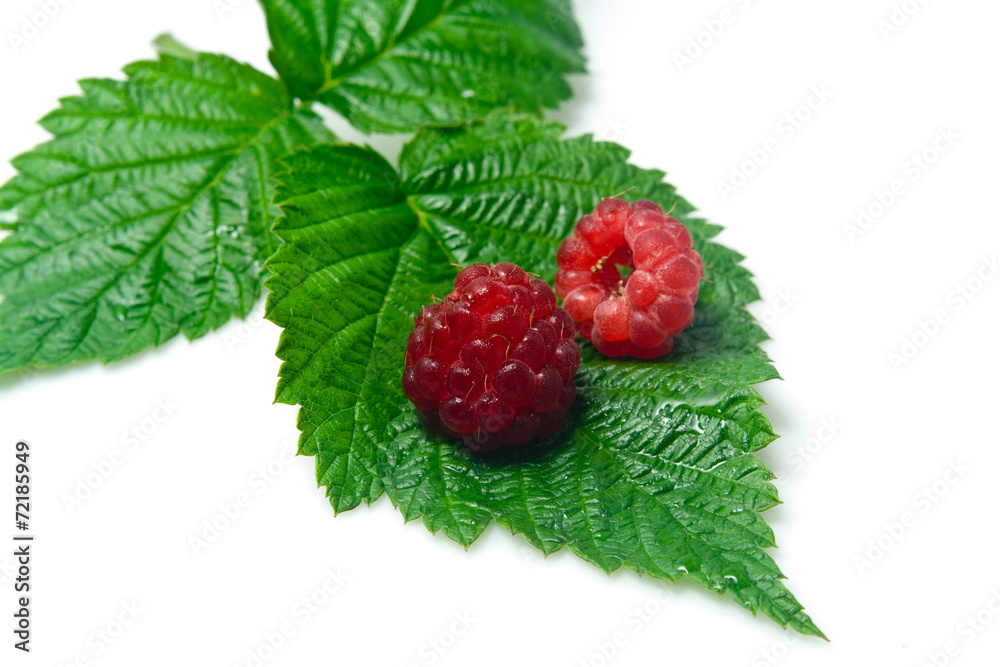 two raspberries on a sheet