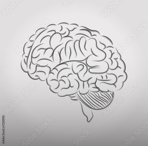 Human brain