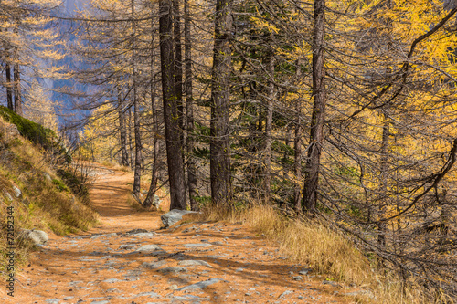 Mountain Road in Autumn