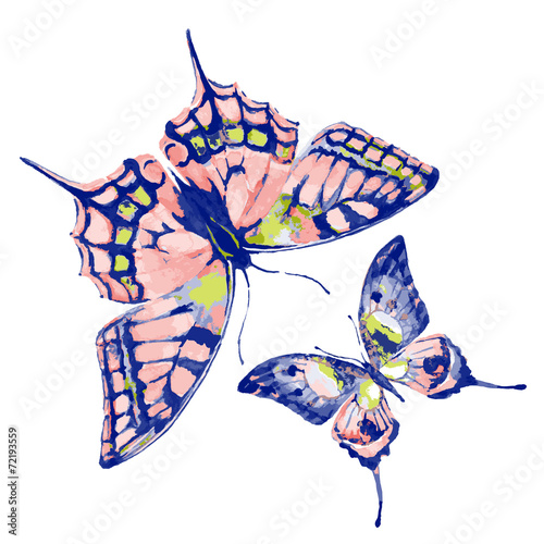 butterflies design