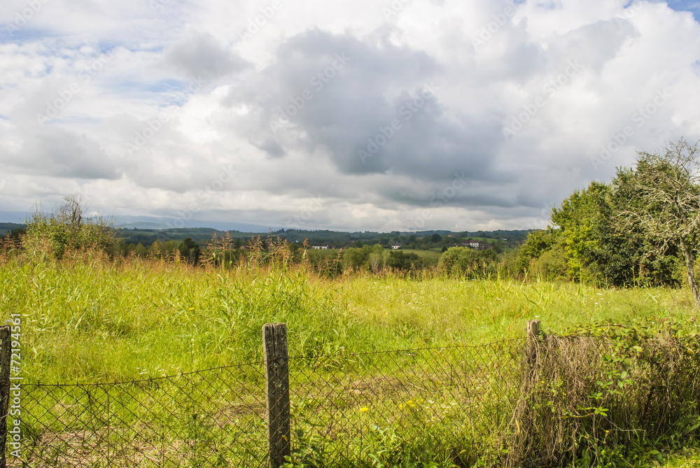 Landscape Landscape