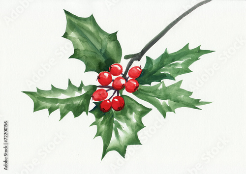 Green holly branch with berries