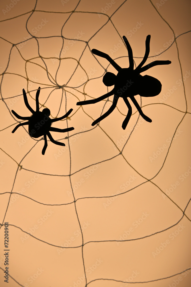 Obraz premium Spider on web. Halloween decoration concept