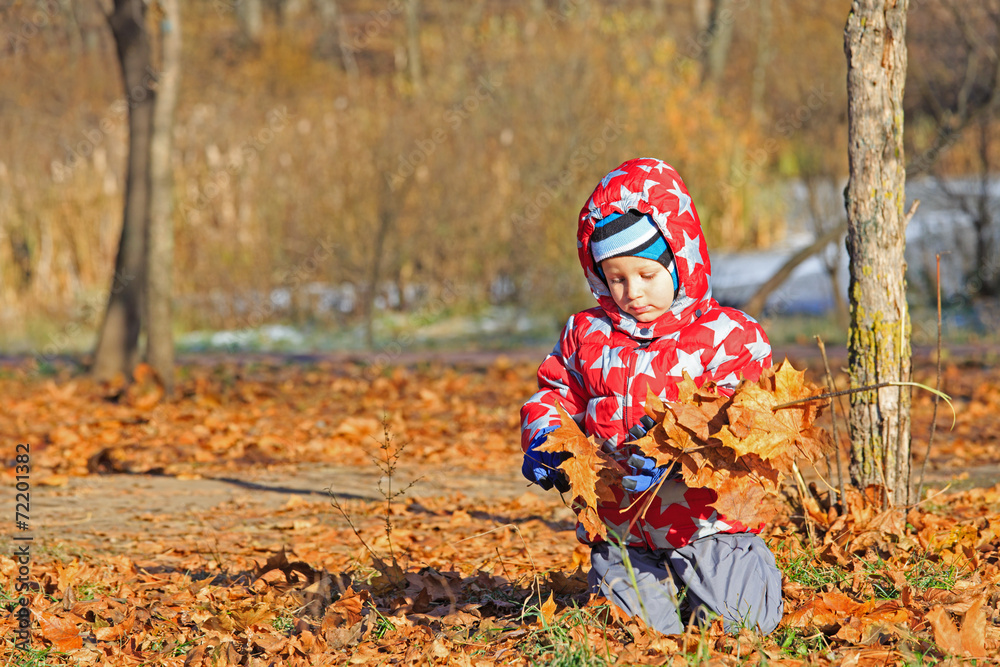 little boy playing with autumn leaves little boy playing with autumn leaves