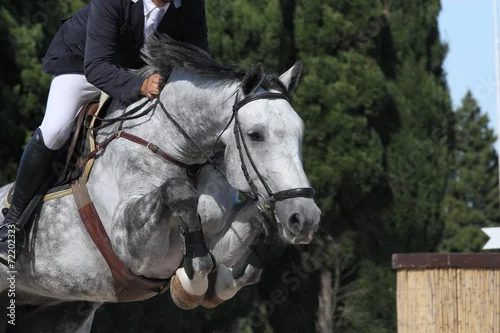 Obraz Ponad przeszkodą