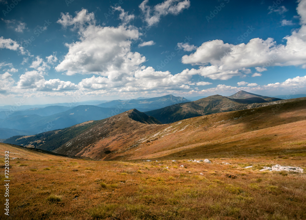 summer landscape.