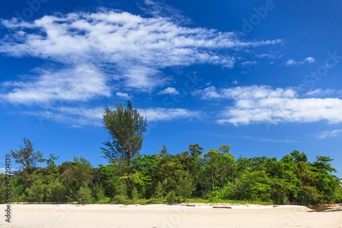 Forest and white sand © Juhku